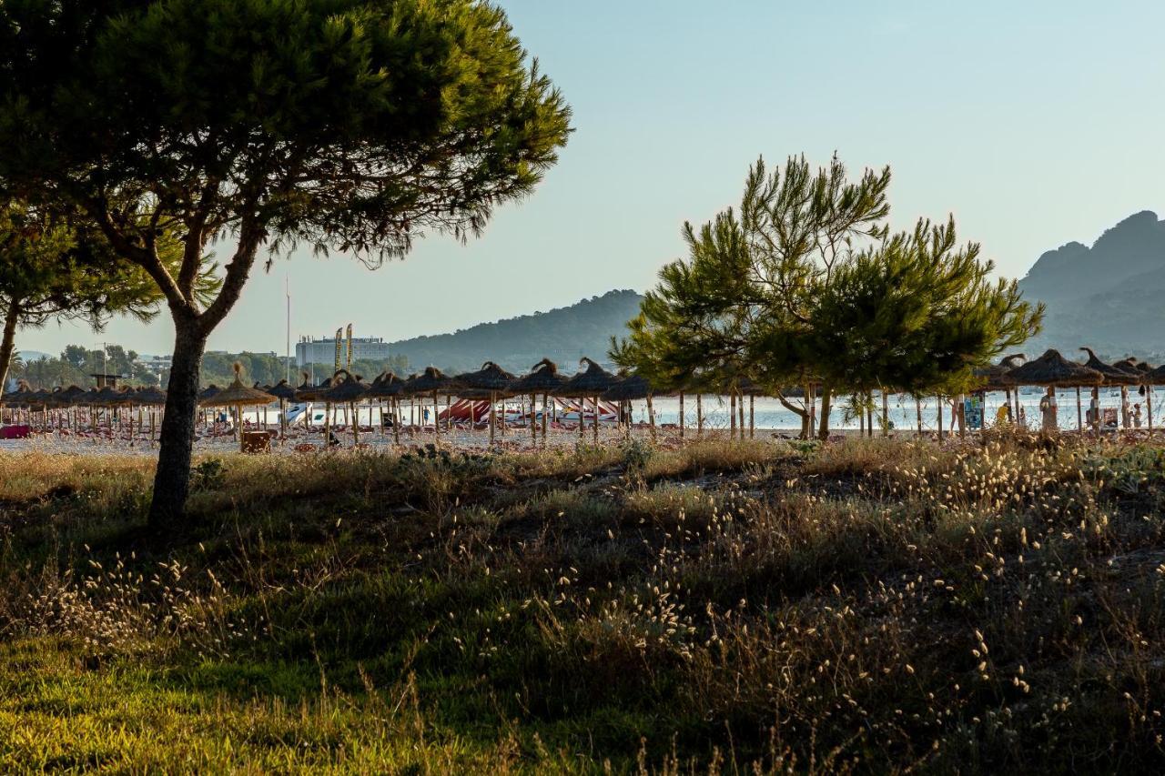 Playa Aparthotel Alcudia (Mallorca)