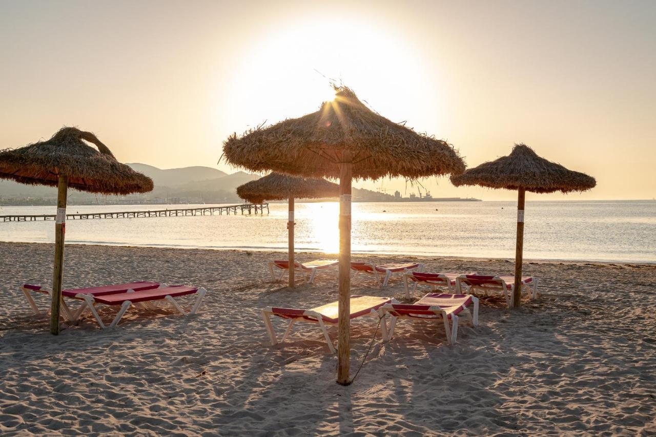 Playa Alcudia (Mallorca)
